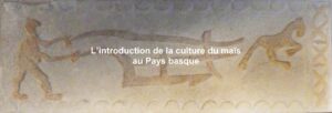 L’introduction de la culture du maïs au Pays basque