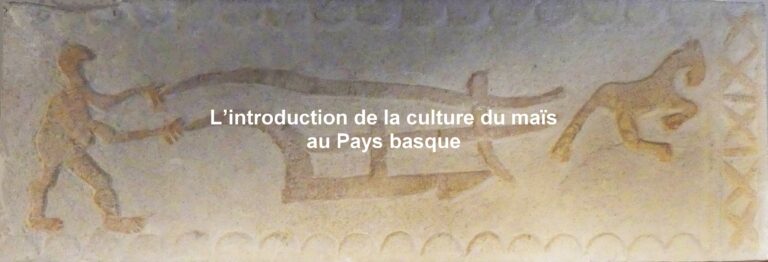 L’introduction de la culture du maïs au Pays basque