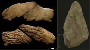 Brève histoire de notre Préhistoire, vivre de chasse et de collecte dans les Pyrénées occidentales.