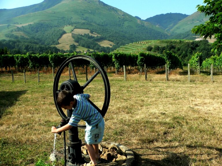 Séminaire des deux Navarre 2025