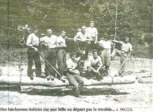 Les bûcherons italiens en forêt d&rsquo;Iraty
