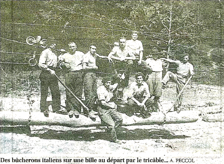 Les bûcherons italiens en forêt d&rsquo;Iraty